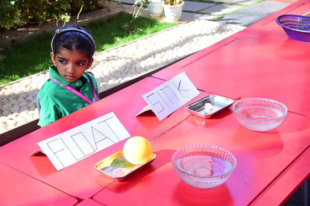 BusyBees Season-7-2508