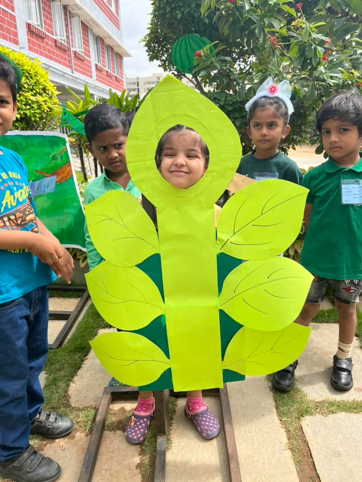 imgi_10_greendaylkg2309