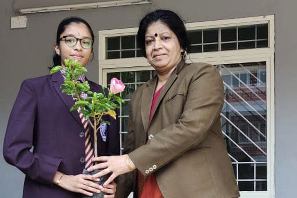 imgi_6_environment2305