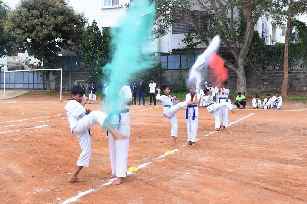 independdence-day-2513