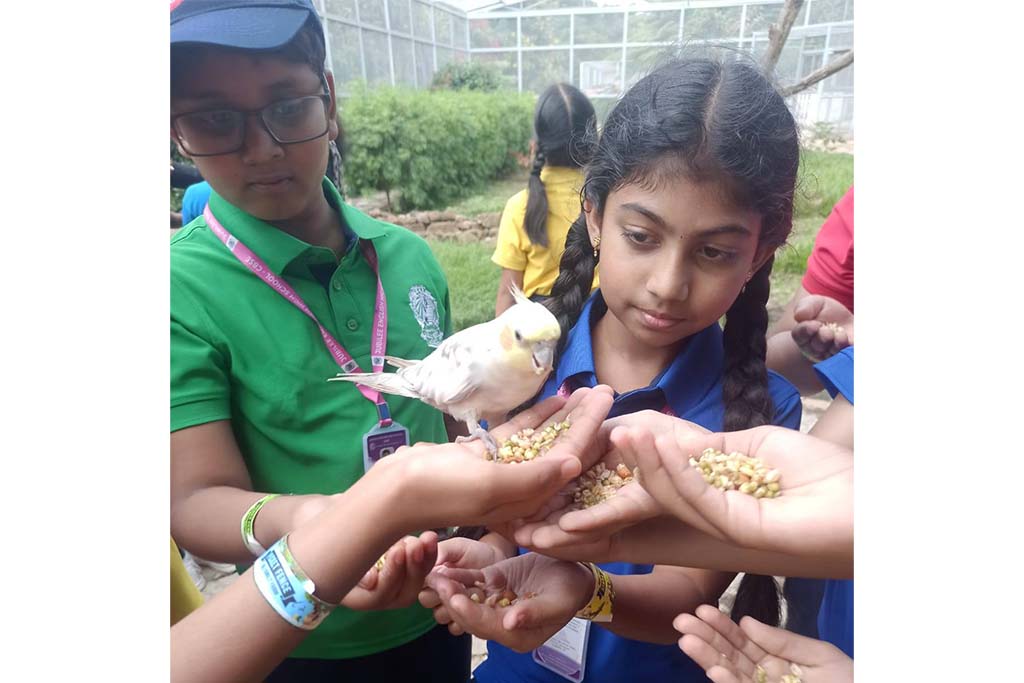 world-outside-school-walls-2504