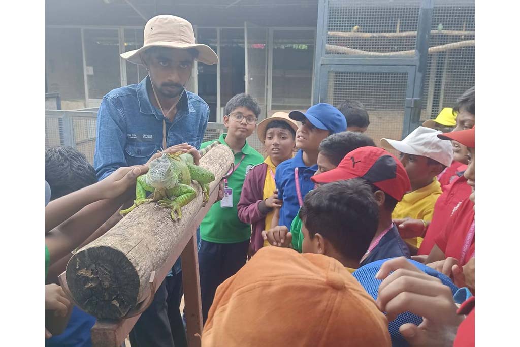 world-outside-school-walls-2505