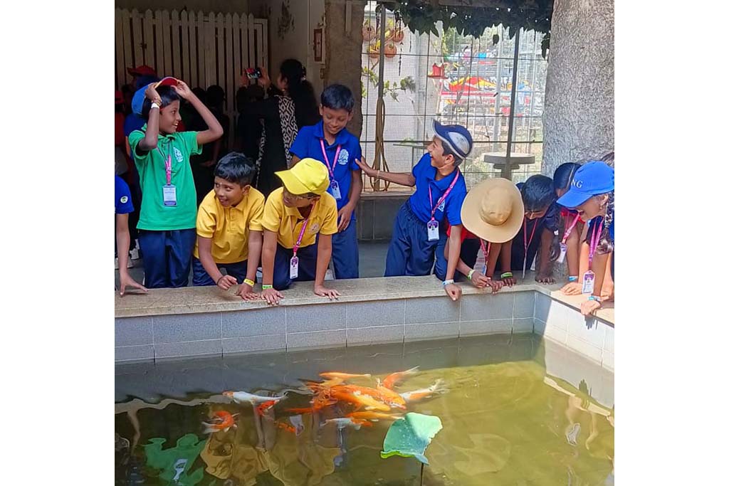 world-outside-school-walls-2508