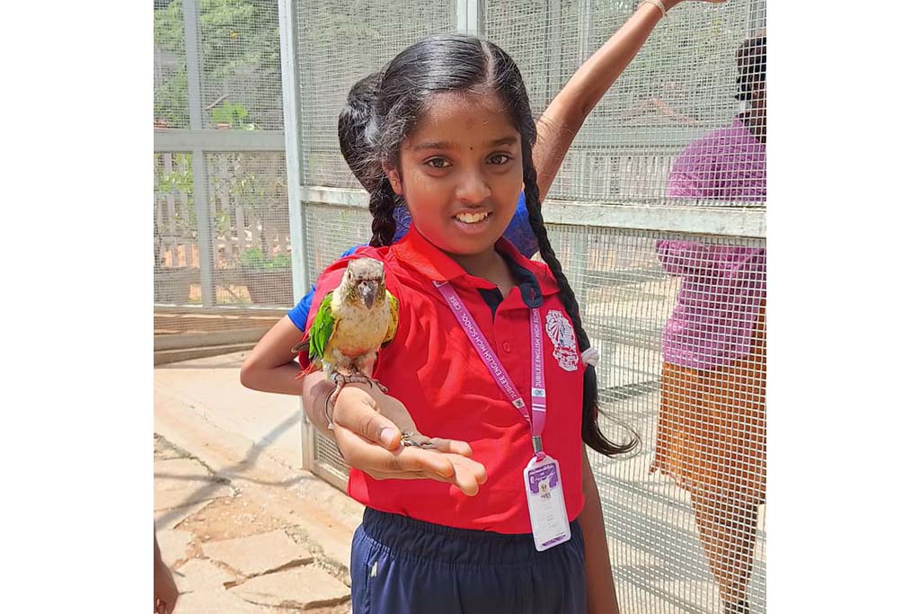 world-outside-school-walls-2511