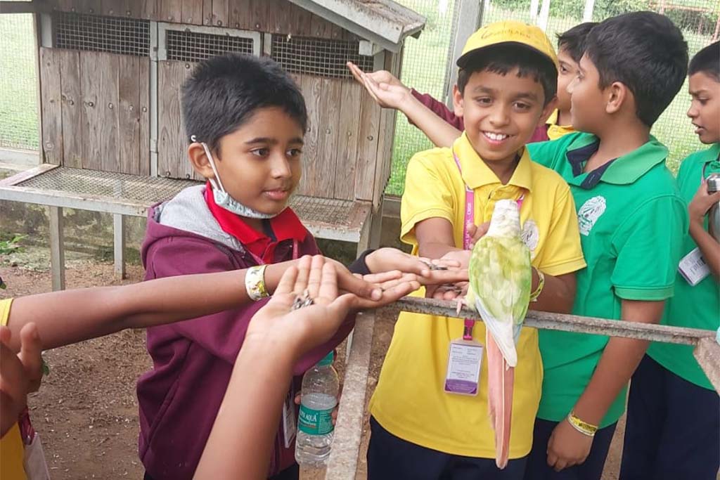 world-outside-school-walls-2513