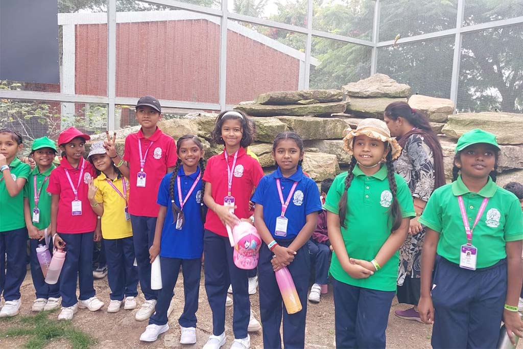 world-outside-school-walls-2514